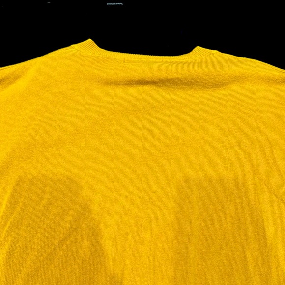 Marks and Spencer’s Classic V-Neck Spring Sweater - Picture 4 of 4